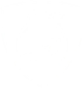 Logo VFC blanc (1)